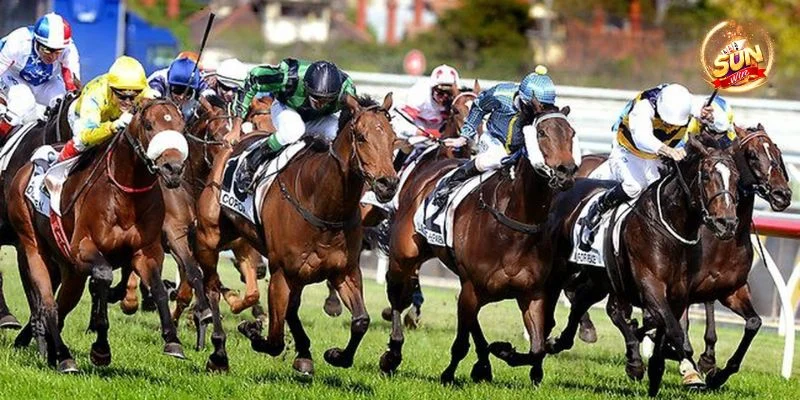 Mẹo Cá Cược Đua Ngựa Sunwin: Cược Thắng, Ăn Tiền Liền Tay 5 Mẹo Cá Cược Đua Ngựa Sunwin: Cược Thắng, Ăn Tiền Liền Tay