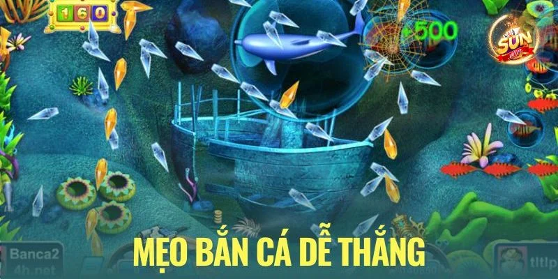 Mẹo Bắn Cá Ăn Đậm, Trúng Lớn Như Cao Thủ Sunwin 4 Mẹo Bắn Cá Ăn Đậm, Trúng Lớn Như Cao Thủ Sunwin